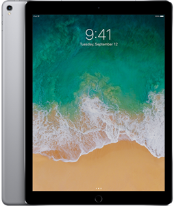 Wholesale Apple iPad Pro 12.9 inch 4G 64GB Wi-Fi Tablet