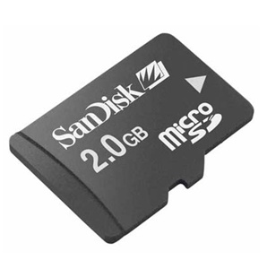 Brand New Sandisk 2GB microSD Memory Card, Bulk Packaging
