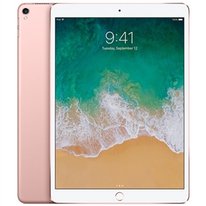 Wholesale Apple iPad Pro 10.5-inch 256GB Wi-Fi Gold 2017 Model Tablet